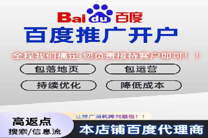 深度解析：SEM竞价优化提升ROI的案例
